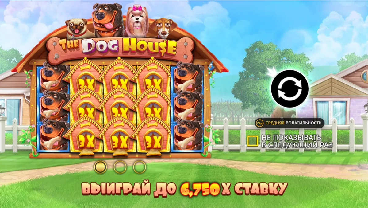 The Dog House Mostbet-də: oyun sahəsi